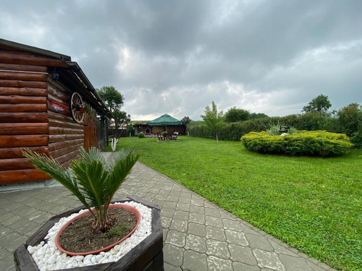 Pensiunea Denis Cartisoara Luaran gambar