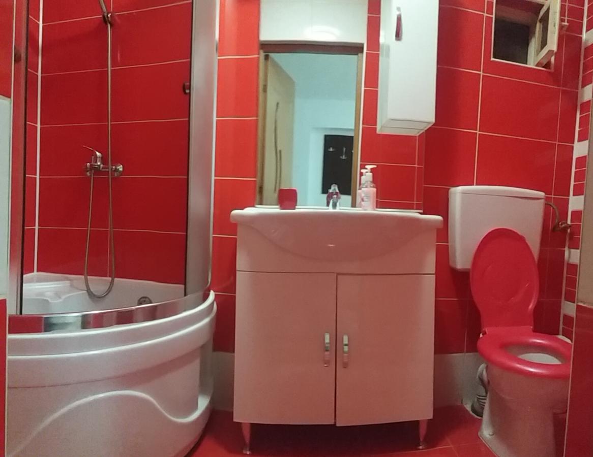 Pensiunea Denis Cartisoara Luaran gambar